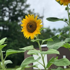 Meet your Posher, Kelley